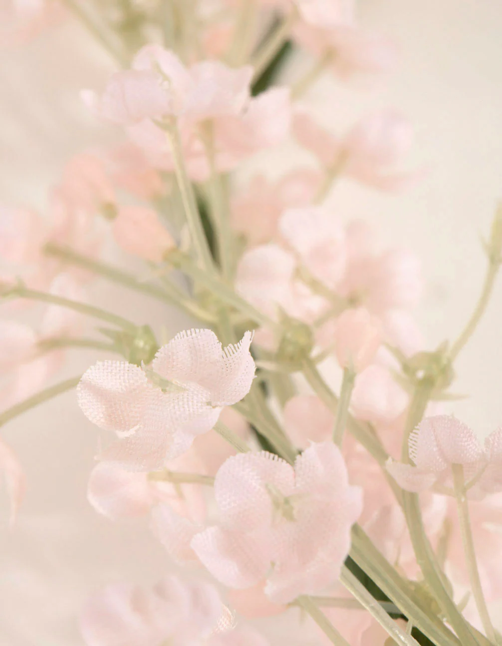 Blush Blossom Crown - Image 3