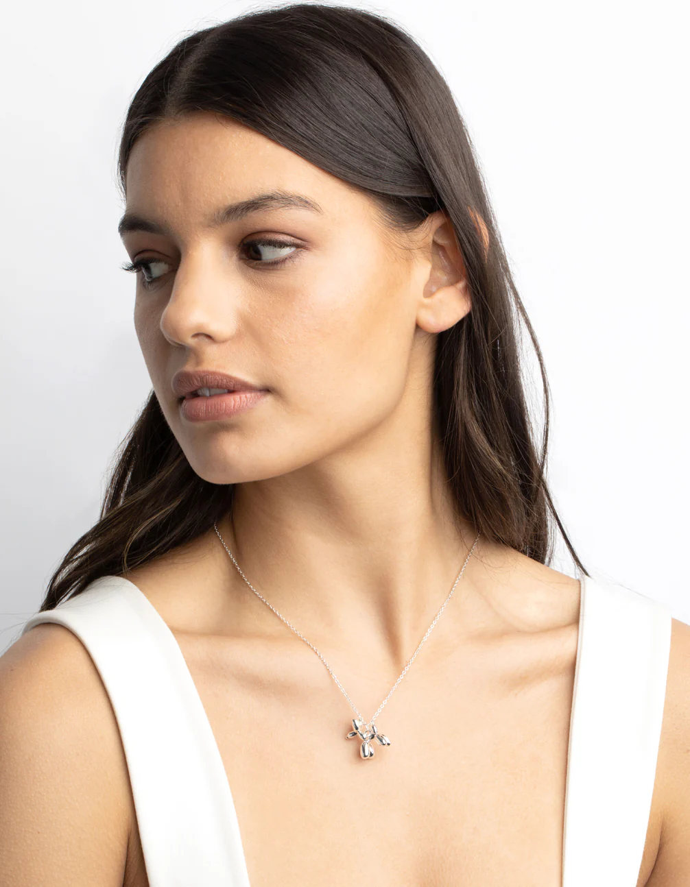 Silver Bubble Dog Necklace Giftbox - Image 5