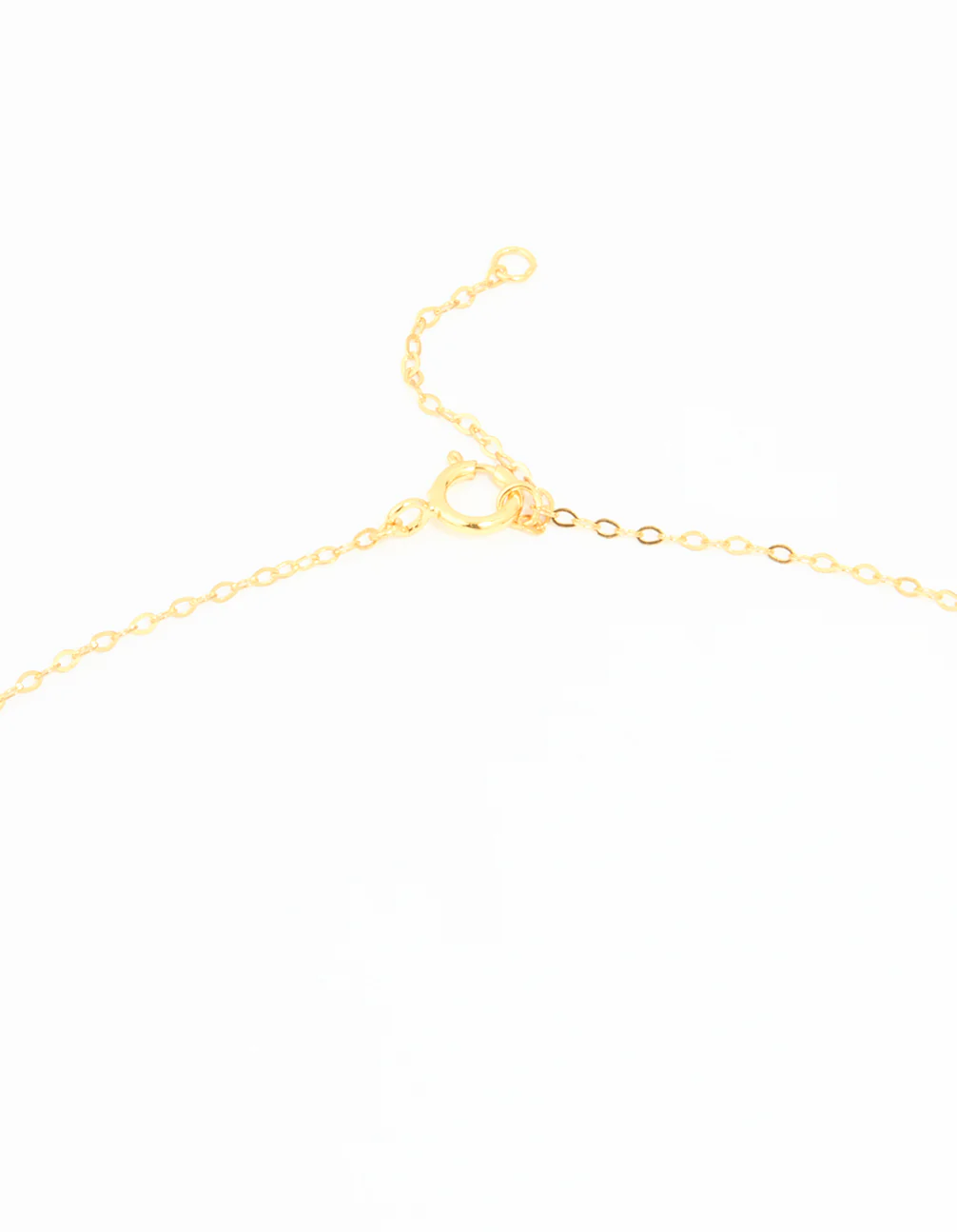 Gold Plated Sterling Silver Cubic Zirconia Horseshoe Necklace - Image 5
