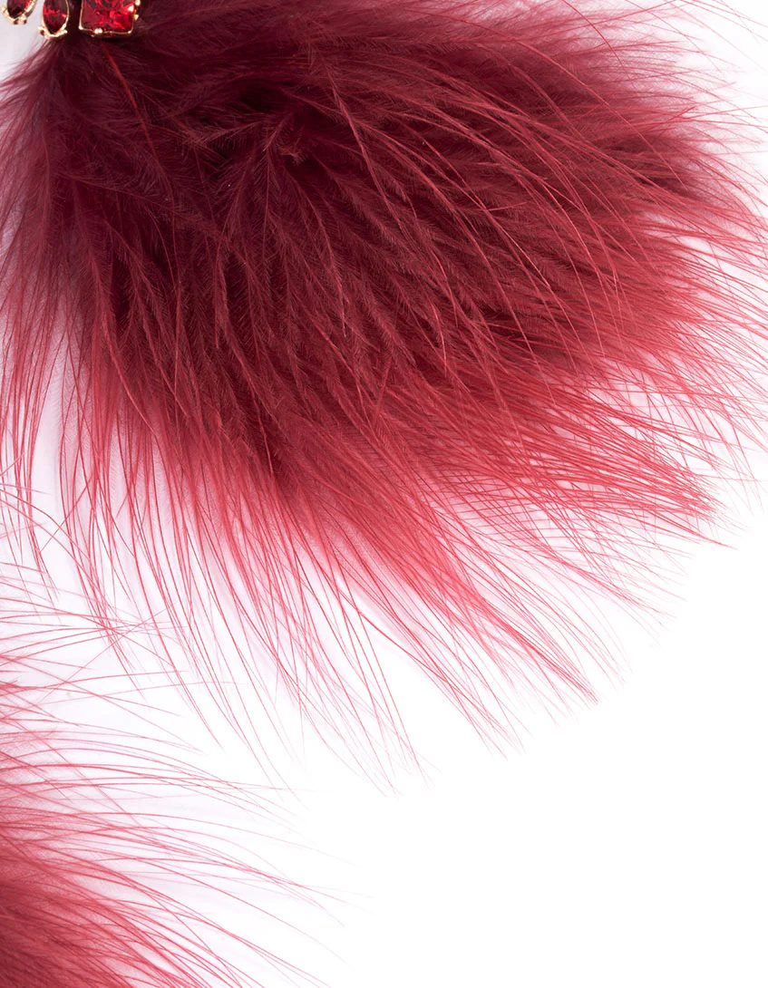 Red Stone Feather Drop Earrings - Image 3