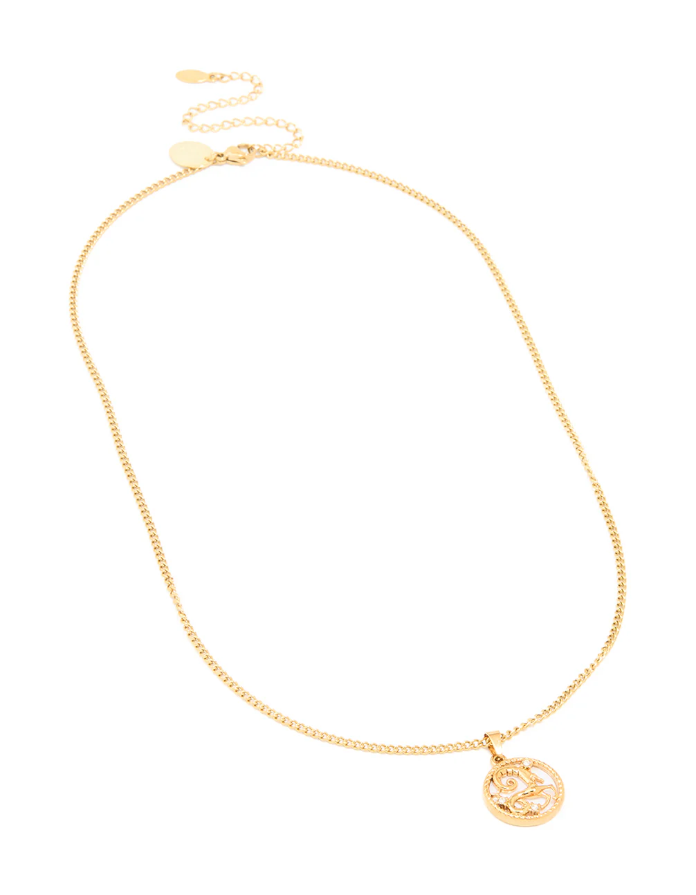 Waterproof Gold Plated Stainless Steel Circle Capricorn Zodiac Sign Necklace - Image 4