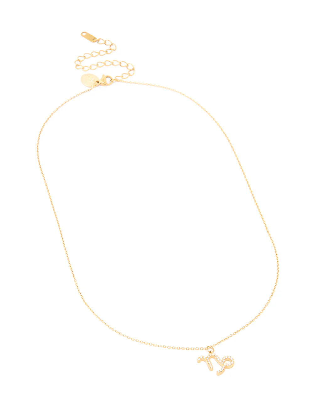 Waterproof Gold Plated Stainless Steel Cubic Zirconia Capricorn Zodiac Sign Necklace - Image 4