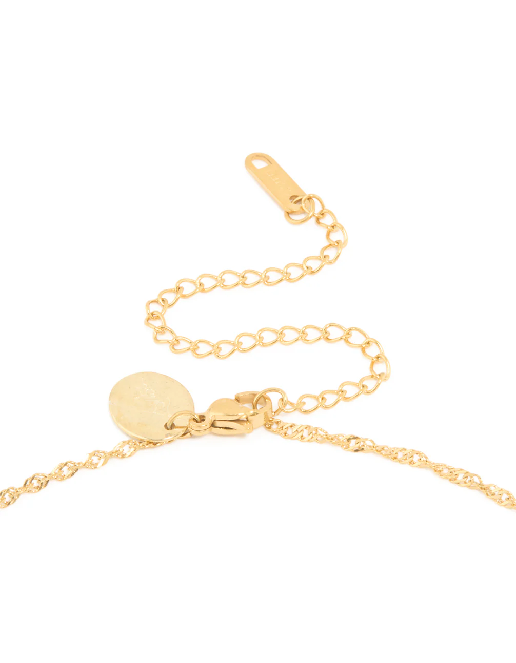 Waterproof Gold Plated Stainless Steel Leo Tab Necklace - Image 3