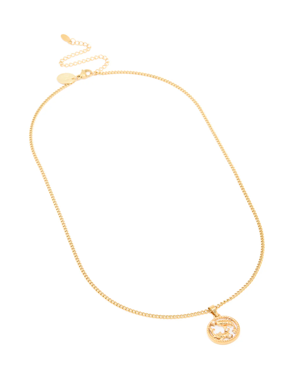 Waterproof Gold Plated Stainless Steel Pisces Circle Zodiac Sign Necklace - Image 4